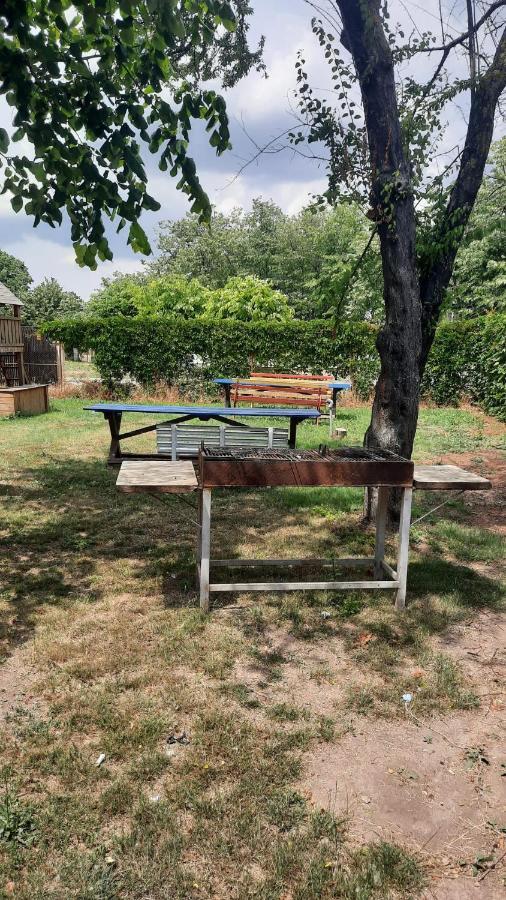 מלון Complex Dunarea סאטורן מראה חיצוני תמונה
